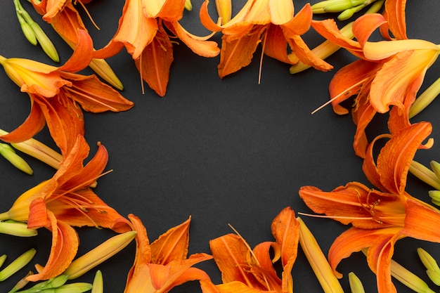 Photo flat lay orange lilies frame