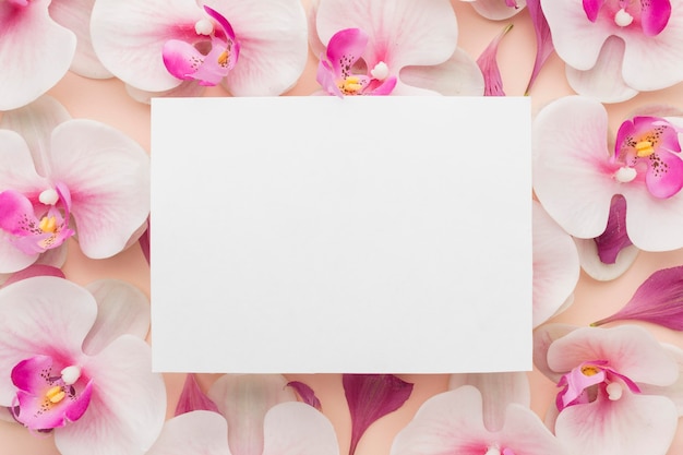 Photo flat lay orchids with blank rectanle