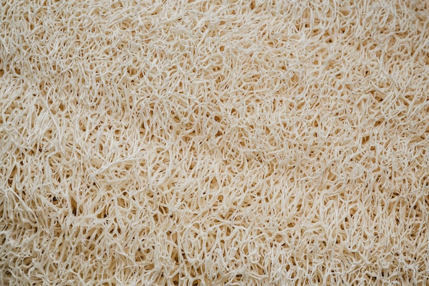 Flat lay organic wallpaper