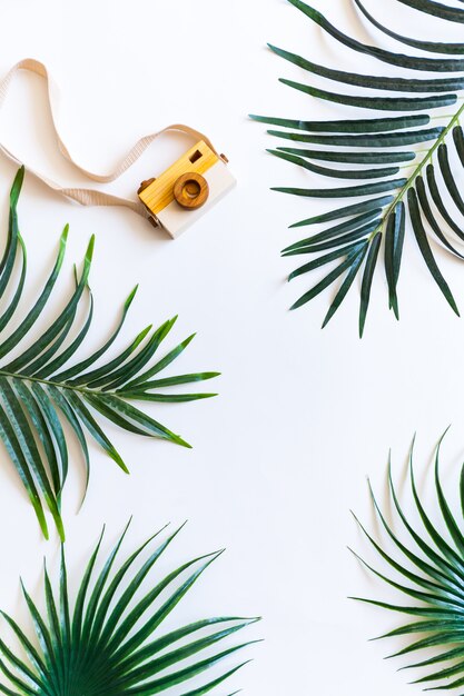 Flat lay of palm leaves and camera