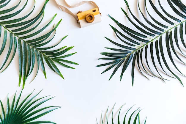 Flat lay of palm leaves and camera