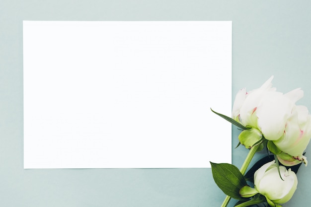 Photo flat lay peonies flowers and blank white sheet on blue background, top view.