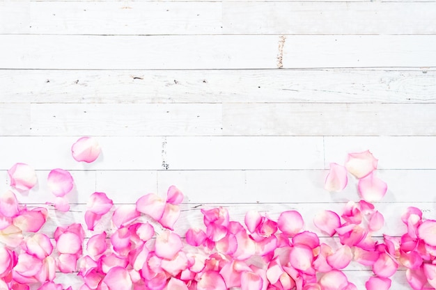 Плоская планировка. Лепестки из розовых роз на окрашенном белом деревянном фоне.