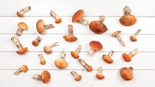 Flat lay photo - freshly harvested forest mushrooms, red-capped scaber stalk variety (Leccinum aurantiacum / albostipitatum), on white boards desk