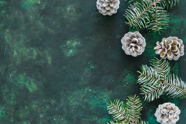 Flat lay pine needles and cones on beautiful green background