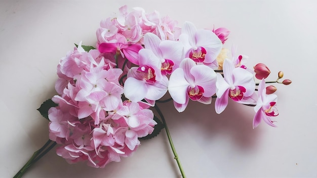 Flat lay pink orchids and hydrangea