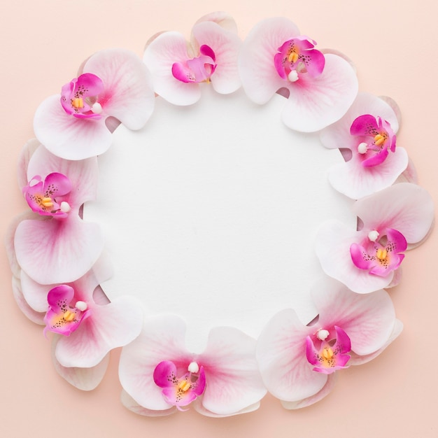 Photo flat lay pink orchids with black circle