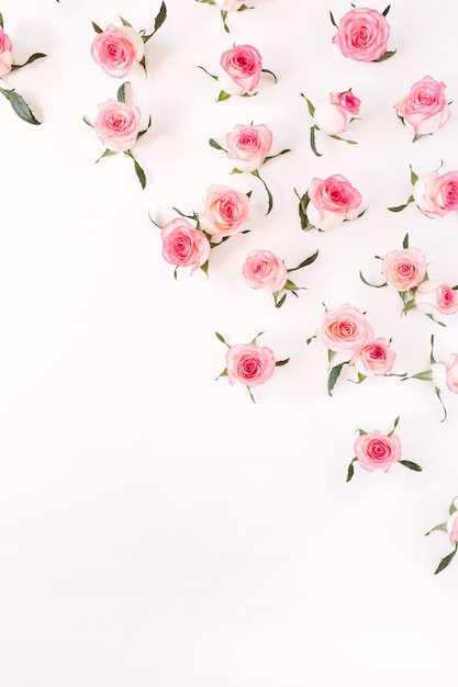 Flat lay pink rose flower buds and leaves pattern on white