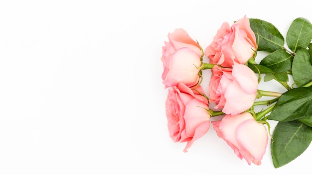 Flat lay of pink roses bouquet