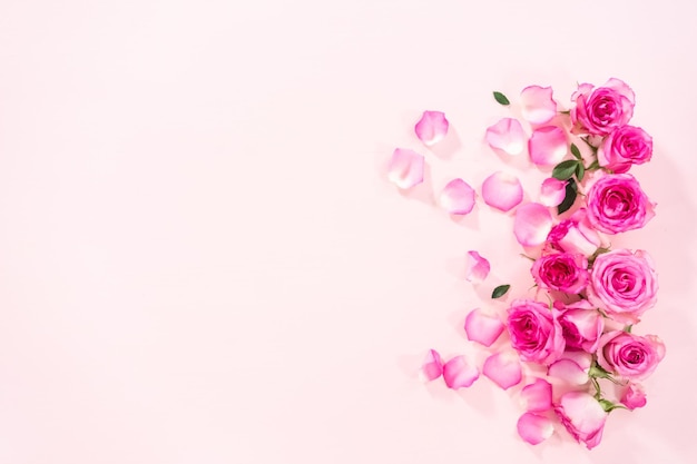 Flat lay Pink roses and rose petals on a pink background