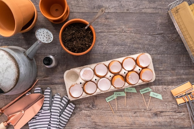 Flat lay. Plantings seeds in eggshells and labeling them with small plant tags.