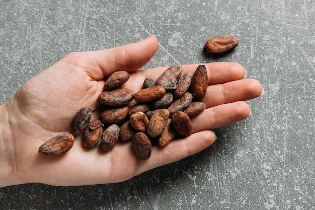 Flat lay raw fermented organic cacao beans for chocolate