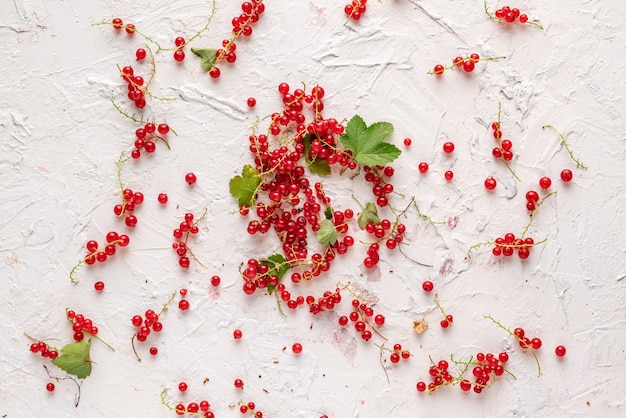 Flat lay of red currant  branch with green leaves