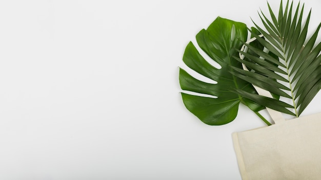 Photo flat lay of reusable bag with leaves