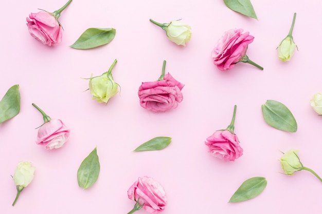 Flat lay roses arrangement