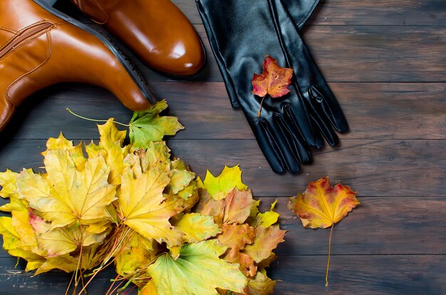 Flat lay set of  Feminine clothe  in autumn style