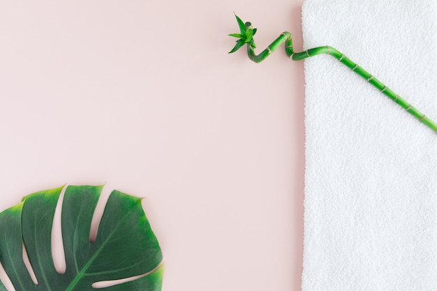 Flat lay of spa concept with white towel, bamboo and palm leaf, spa with a space for a text, flatlay