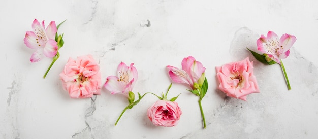 Flat lay of spring roses and orchids with marble background