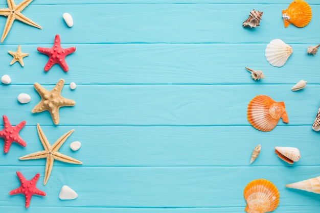 Photo flat lay starfish and seashells