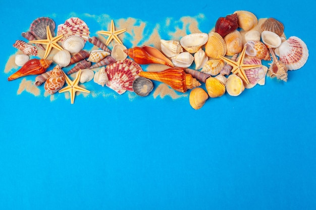 Flat lay. Top view. Frame of shells of various kinds on a blue background.