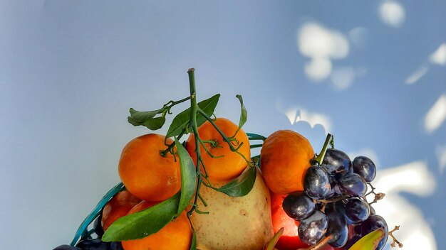 평평한 평신도, 열대 과일 오렌지, 배, 포도 흰색 바탕에