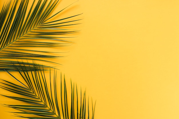 Photo flat lay of tropical leaves with copyspace