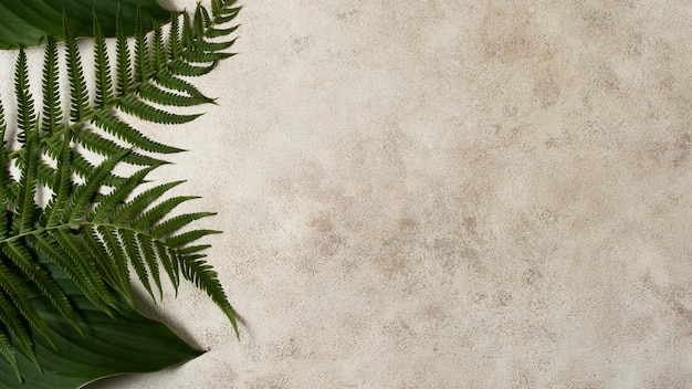 Photo flat lay of tropical plant leaves with copy space