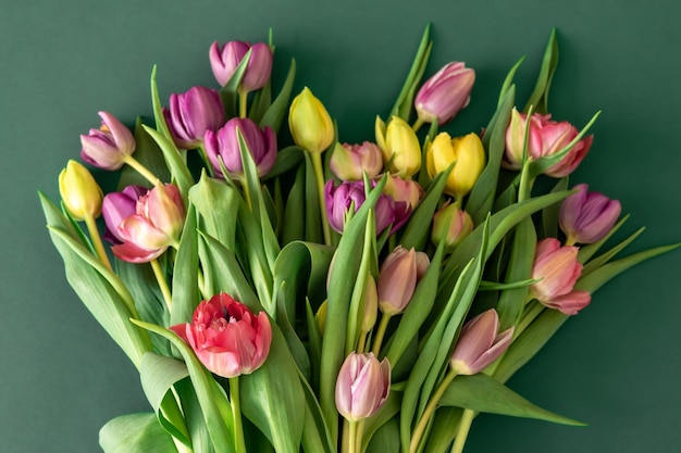 Flat lay tulips on a colored background