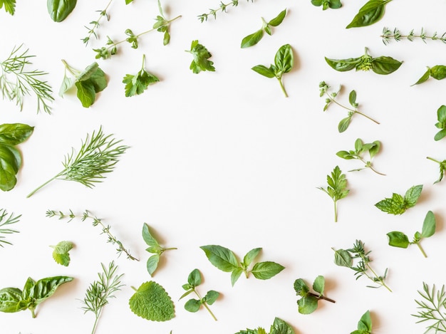 Photo flat-lay of various fresh green kitchen herbs