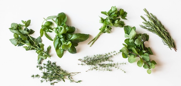 Flat-lay of various fresh green kitchen herbs