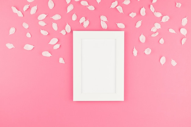 Flat lay of white frame with petals