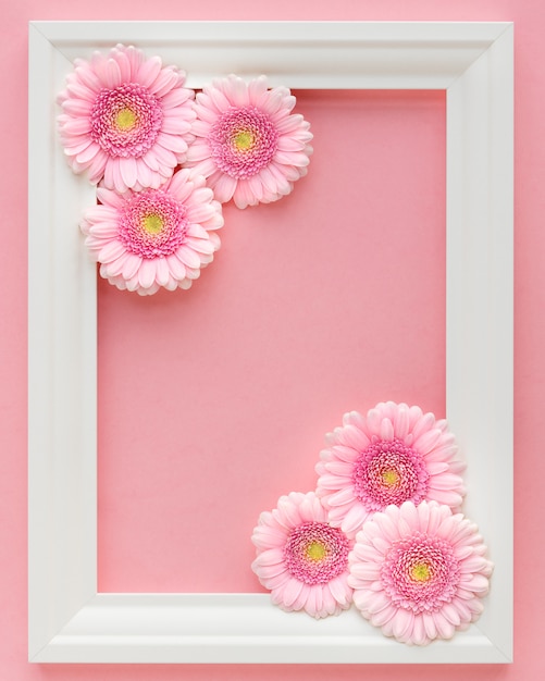 flat lay of white frame with pink flowers  gerberas