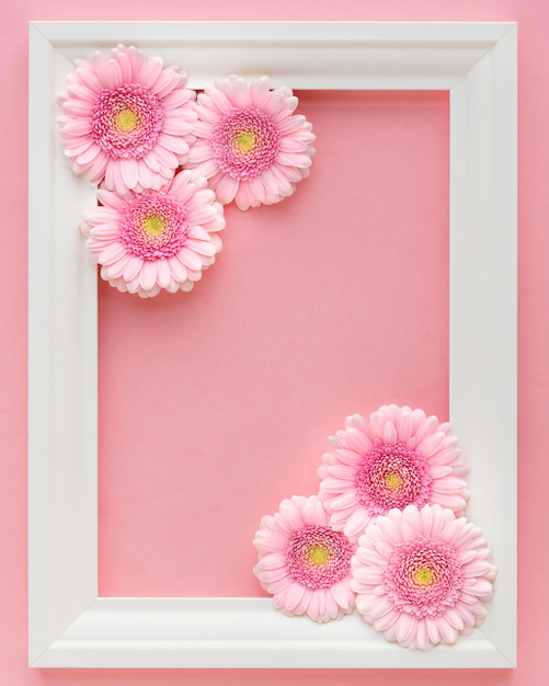 Flat lay of white frame with pink flowers  gerberas