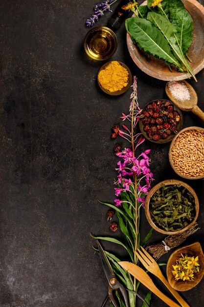 Photo flat lay of wild healing herbs