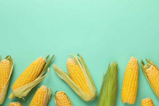 Flat lay with fresh raw corn and leaves