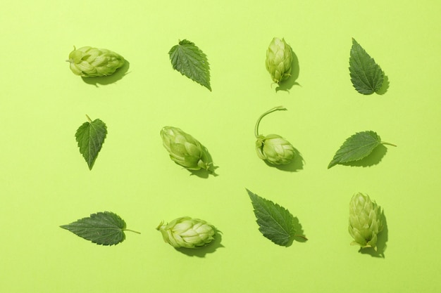 Flat lay with hop cones and leaves on green