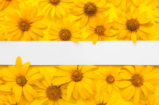 Flat lay yellow daisies with blank stripe