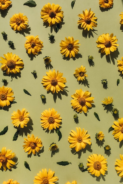 Photo flat lay yellow daisy flower buds pattern