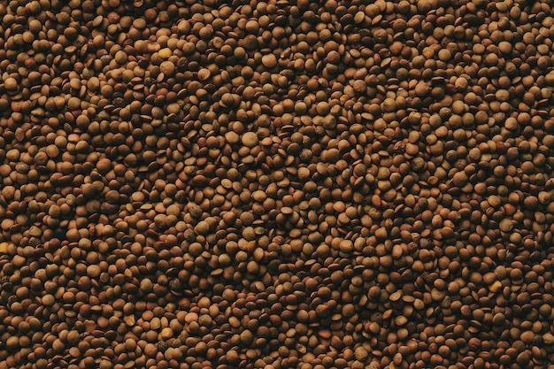 flat style natural lentil background