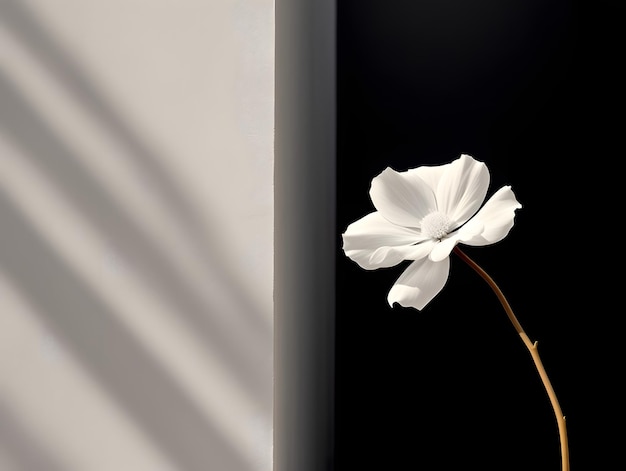 flat wall background with flowers on the side