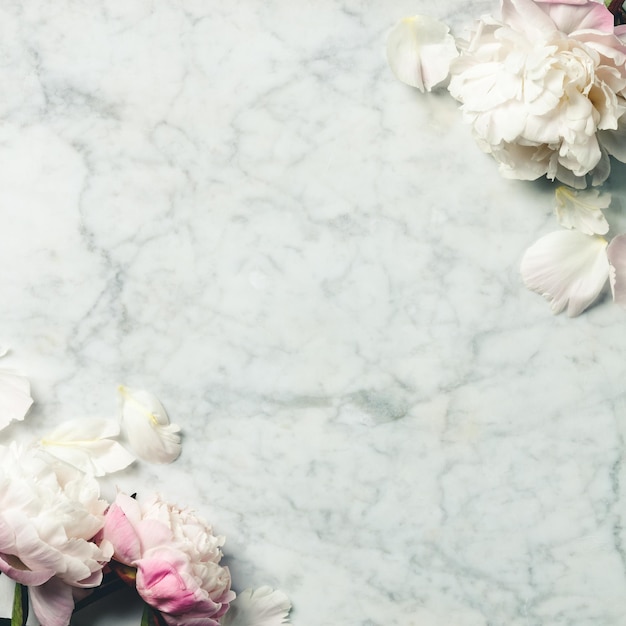 大理石の背景に美しい牡丹の花の FlatLay