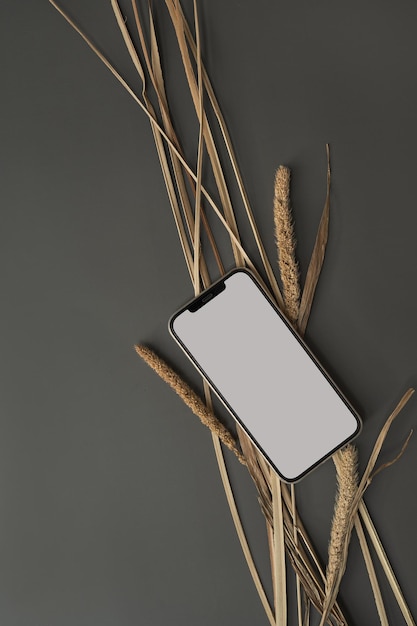 Photo flatlay of blank clipping path screen mobile phone aesthetic dried grass stems lady boss online shop store blog template with mockup space flat lay top view