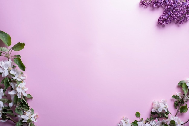 Flatlay of branches of white inflorescences of cherry and lilac on a pink background top view