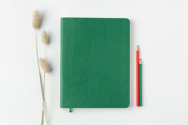 Flatlay of home office desk table Green notebook with green and red pencils and dry flower on white background