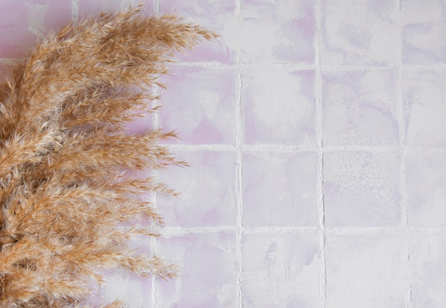 Flatlay of pampas grass on tile background. Minimal concept. Flat lay, top view, copy space.