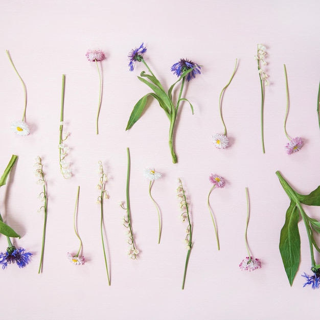 Flatlay van lelietje-van-dalen korenbloem madeliefje en pioenroos tuin bloemen in rijen vierkant gewas