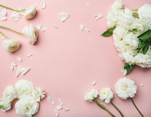 Flatlay van witte ranonkel bloemen lichtroze achtergrond