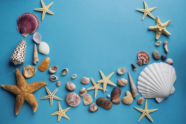 Flatlay of various sea shells and starfish on pastel blue background with copy space