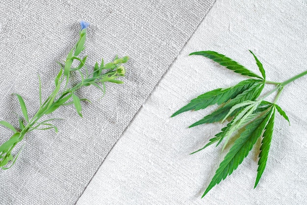 古い自家製のリネンと麻の布に亜麻と大麻の植物