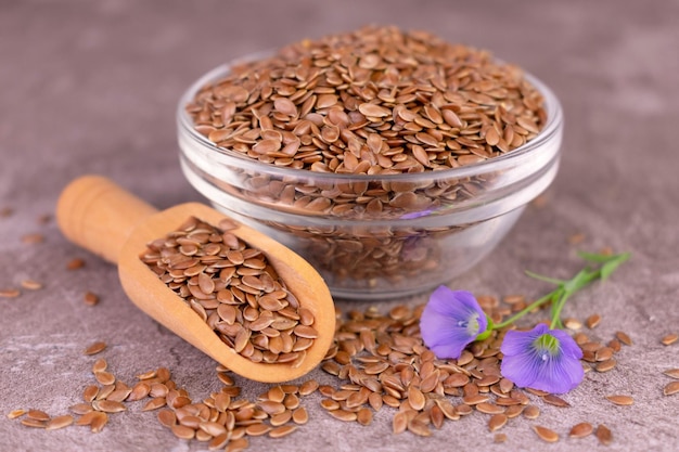 Photo flax seeds in a glass bowl and flax flowers on a gray background